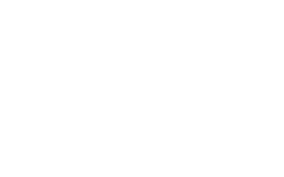 Logo Wolf Mundial